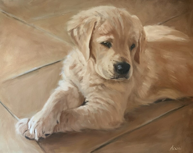 Golden Retriever Puppy Lisa Acciai LAc Studio