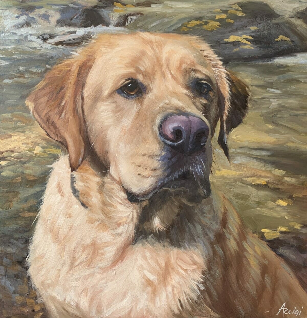 Pet Portrait Paintings And Drawings By Artist Lisa Acciai LAc Studio