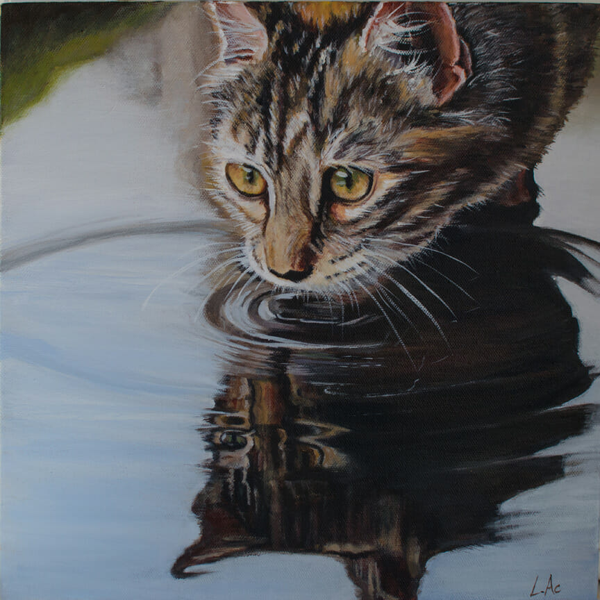 LAc Studio - Original Painting of reflecting cat by Lisa Acciai