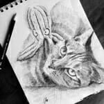 Sketch of Danielle's Cat - by Lisa Acciai