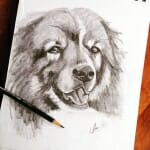 Sketch of Cleo - by Lisa Acciai