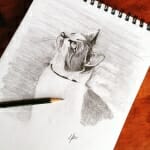 Sketch of Key West Cat - by Lisa Acciai