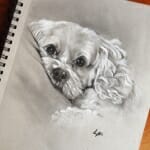 Sketch of Snickers - by Lisa Acciai