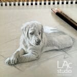 cute-puppy-sketch-Lisa-Acciai-LAcStudio
