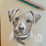 lexi-sketch-Lisa-Acciai-LAcStudio