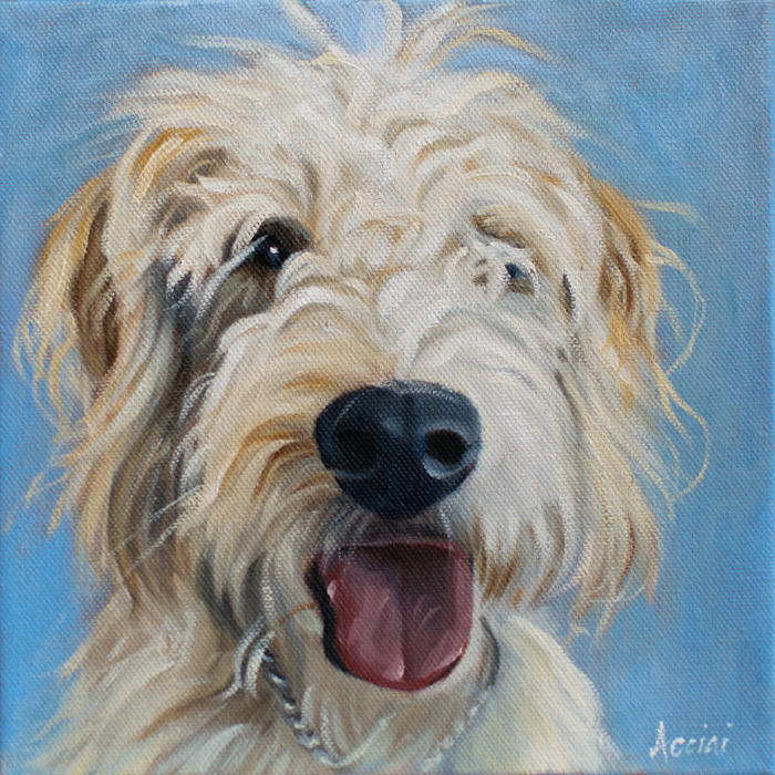 Philip - oil painting by Lisa-Acciai
