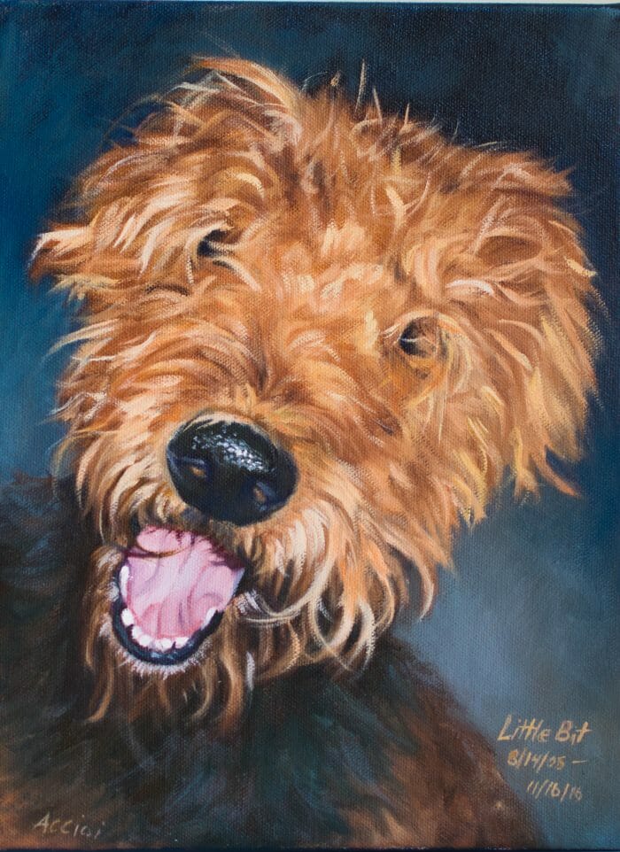 Little Bit Airedale painting by Lisa Acciai