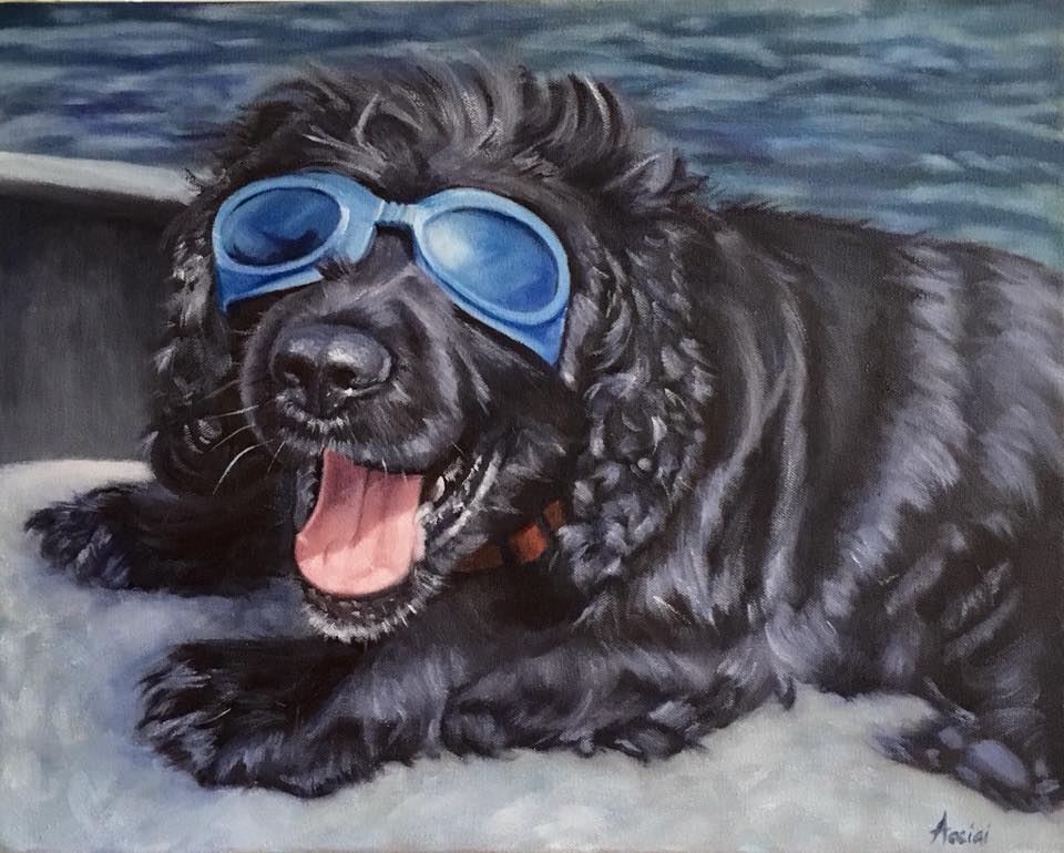 Buster - oil painting by Lisa Acciai