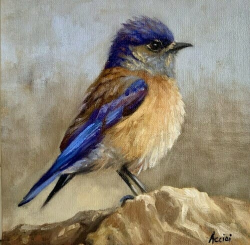 Blue Bird, oil, 8x8, L Acciai