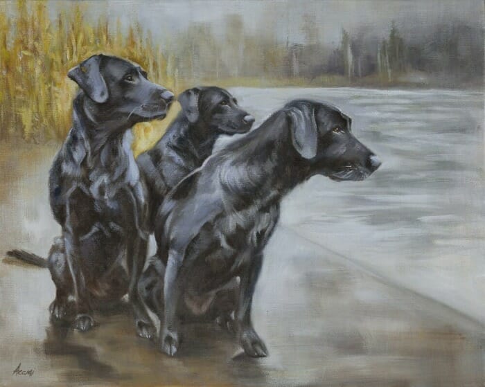 The Watching Place - Black Labradors - Print