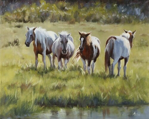 Wild Horses of Chincoteague, Va LAcciai