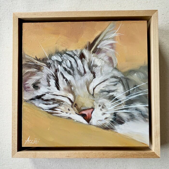 Sleepy-Kitty-LAcciai-6x6-oil