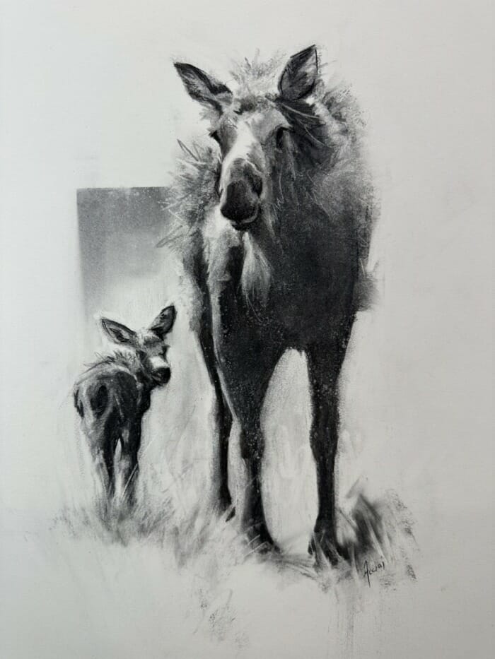 Mama moose and calf-matted-charcoal -LAcciai