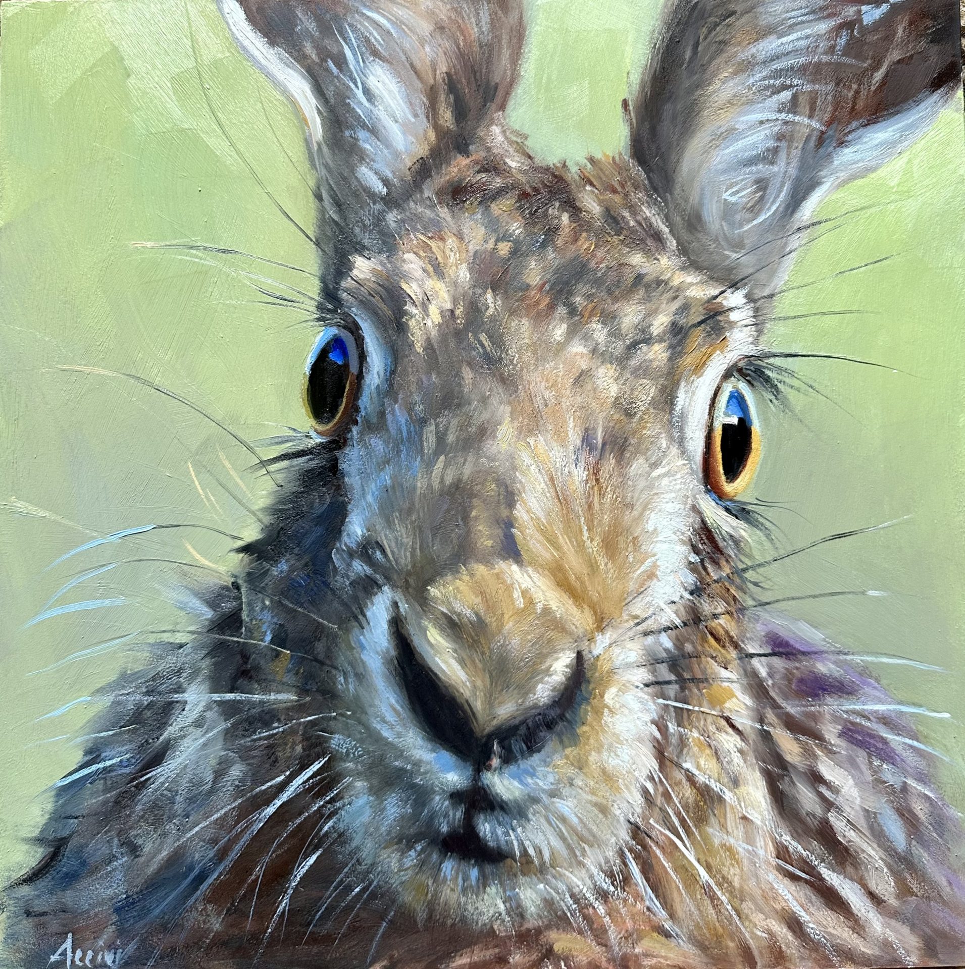 The Startled Hare-Framed 12x12-oil-LAcciai