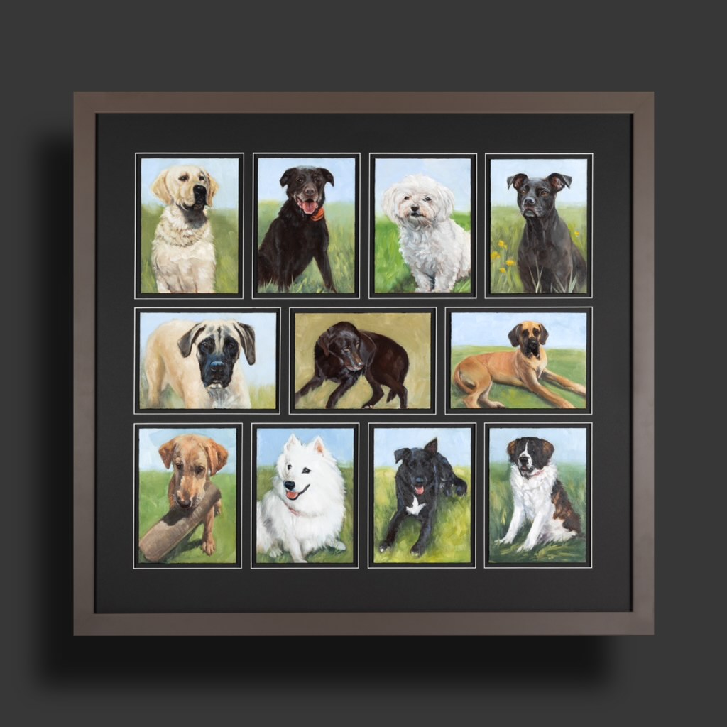 11 dog portrait-lacciai